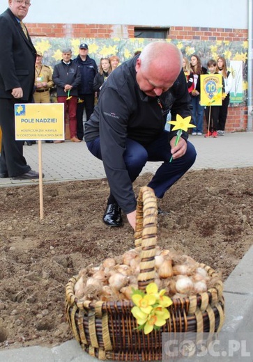 Oficjalna inauguracja akcji Pola Nadziei w Gorzowie Wlkp.