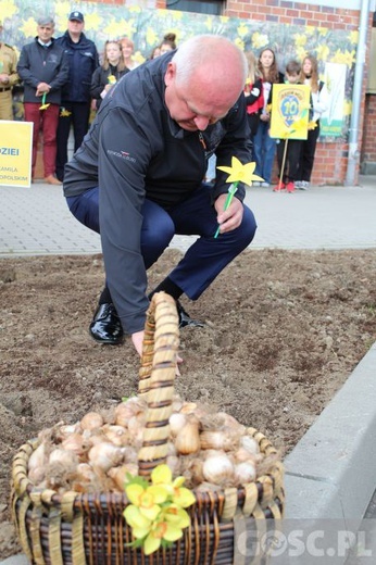 Oficjalna inauguracja akcji Pola Nadziei w Gorzowie Wlkp.