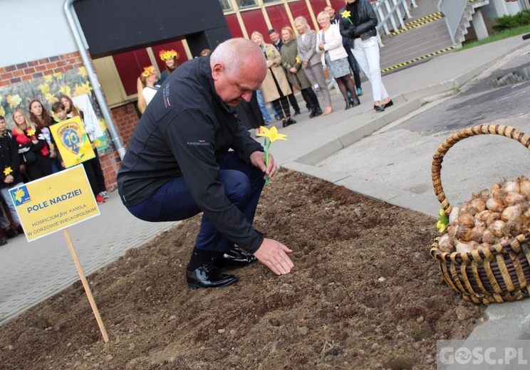 Oficjalna inauguracja akcji Pola Nadziei w Gorzowie Wlkp.