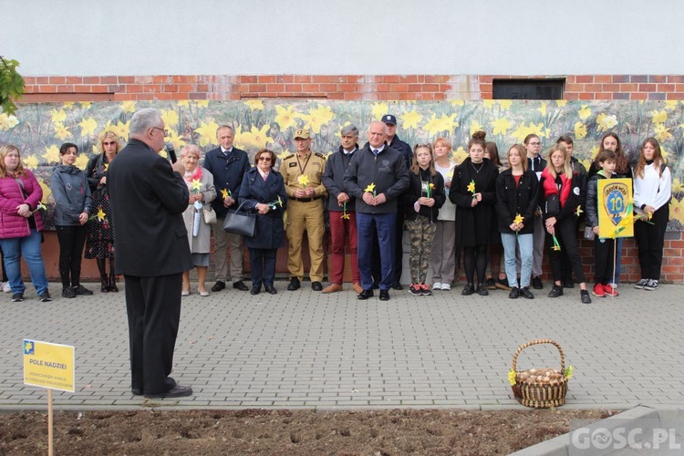 Oficjalna inauguracja akcji Pola Nadziei w Gorzowie Wlkp.