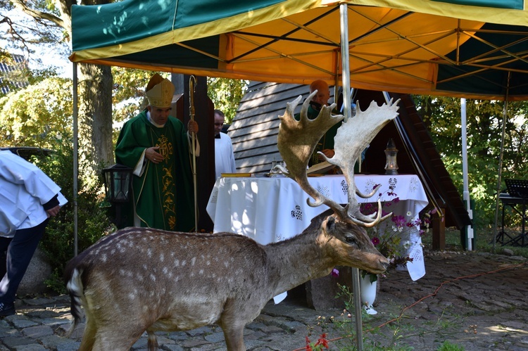 Msza św. hubertusowska w leśnym plenerze