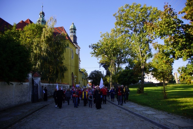 Wolontariusze Caritas z pielgrzymką w Trzebnicy