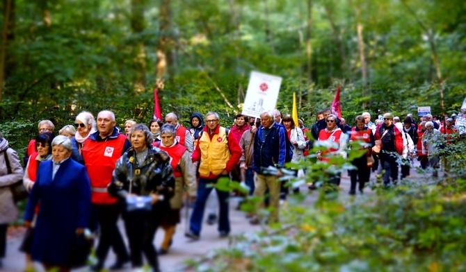 Umocnieni i posłani do potrzebujących