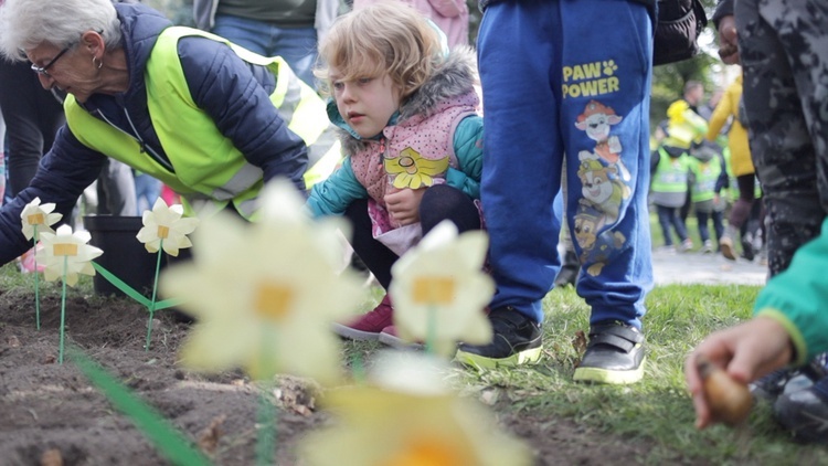 Kampania Pola Nadziei w Świdnicy