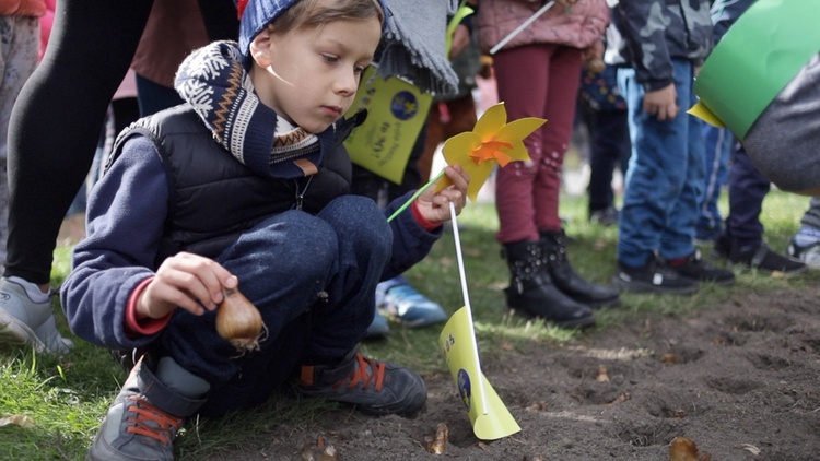 Kampania Pola Nadziei w Świdnicy