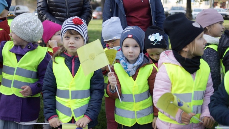 Kampania Pola Nadziei w Świdnicy