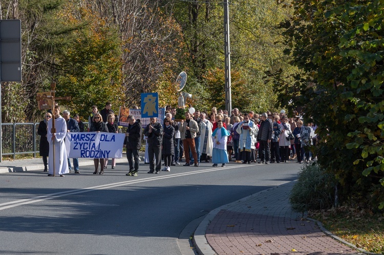 Marsz dla Życia i Rodziny w Krynicy-Zdroju