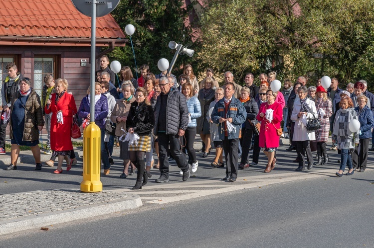 Marsz dla Życia i Rodziny w Krynicy-Zdroju