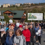 Marsz dla Życia i Rodziny w Krynicy-Zdroju