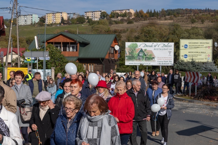 Marsz dla Życia i Rodziny w Krynicy-Zdroju