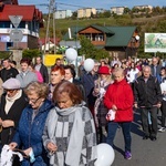 Marsz dla Życia i Rodziny w Krynicy-Zdroju