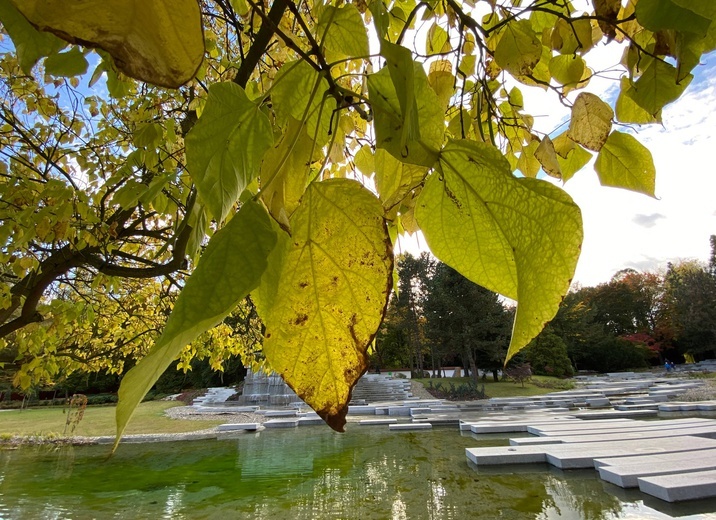 Ogród Japoński w Parku Chorzowskim jesienią.