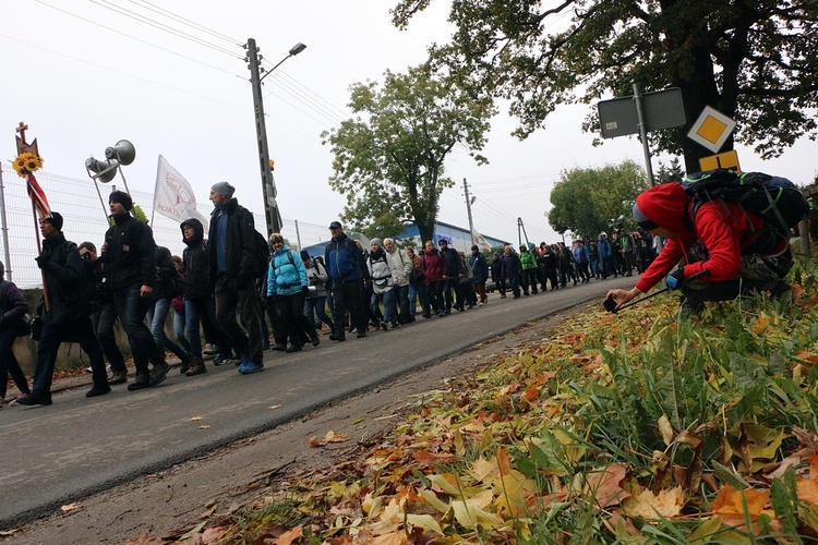 Pielgrzymka trzebnicka cz. 10