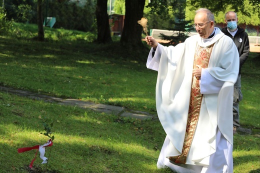 Jubileuszowe dęby na 40-lecie KIK-u w bielskim "Józefowie"