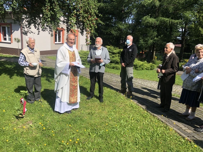 Dęby pamięci rosną w parku KDO "Józefów".