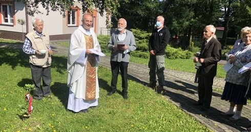 Dęby pamięci rosną w parku KDO "Józefów".