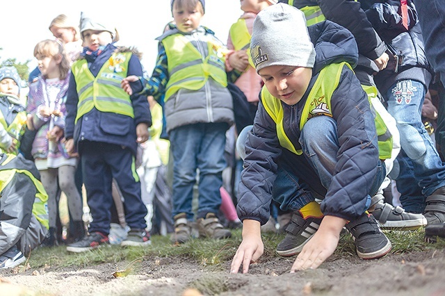 Dzieci z radością włączyły się w sadzenie żonkili. 