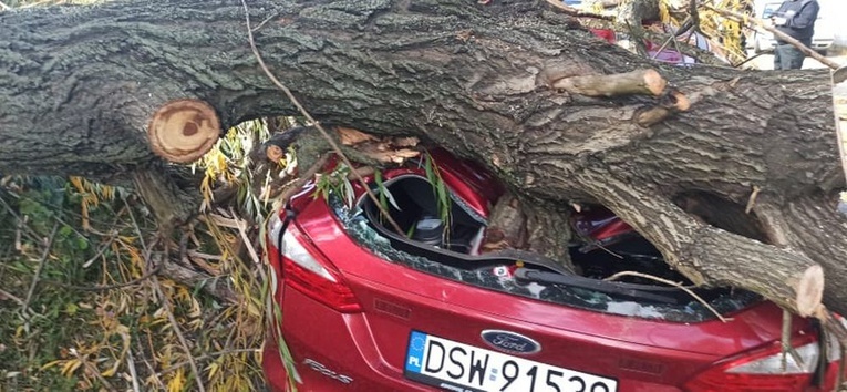 Zniszczenia po wichurze na terenie diecezji świdnickiej