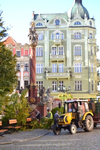 Zniszczenia po wichurze na terenie diecezji świdnickiej