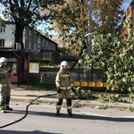 Zniszczenia po wichurze na terenie diecezji świdnickiej