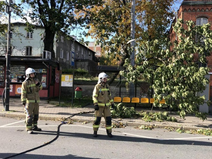 Zniszczenia po wichurze na terenie diecezji świdnickiej