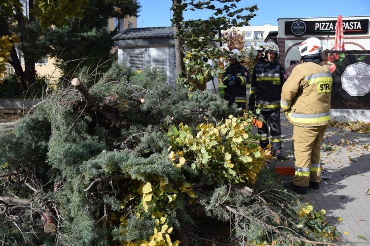 Zniszczenia po wichurze na terenie diecezji świdnickiej