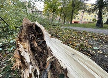 Zniszczenia po wichurze na terenie diecezji świdnickiej