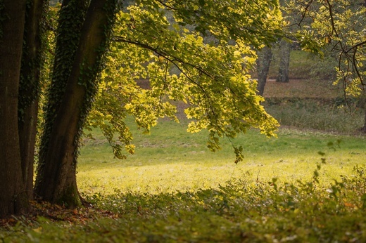 Rekolekcje "Mamy Synów" w Krzeszowicach - 2021