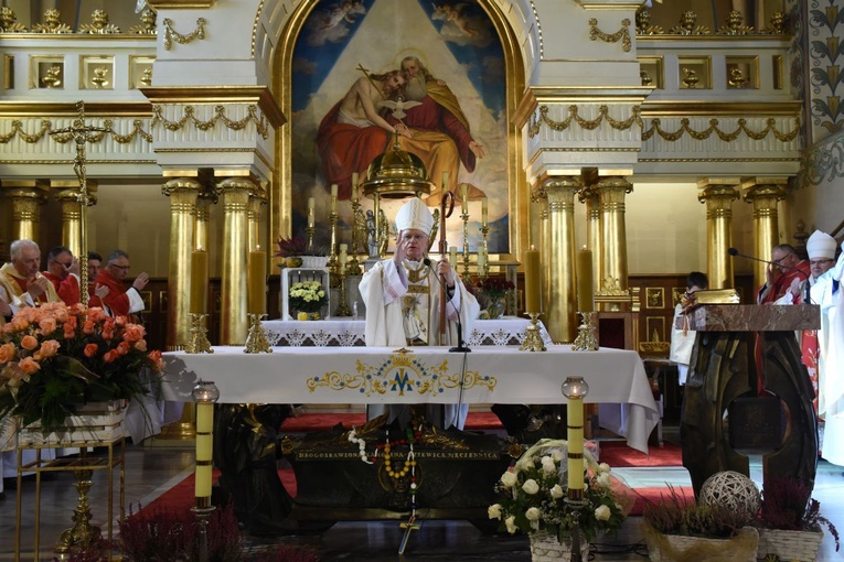 Róże w Zabawie