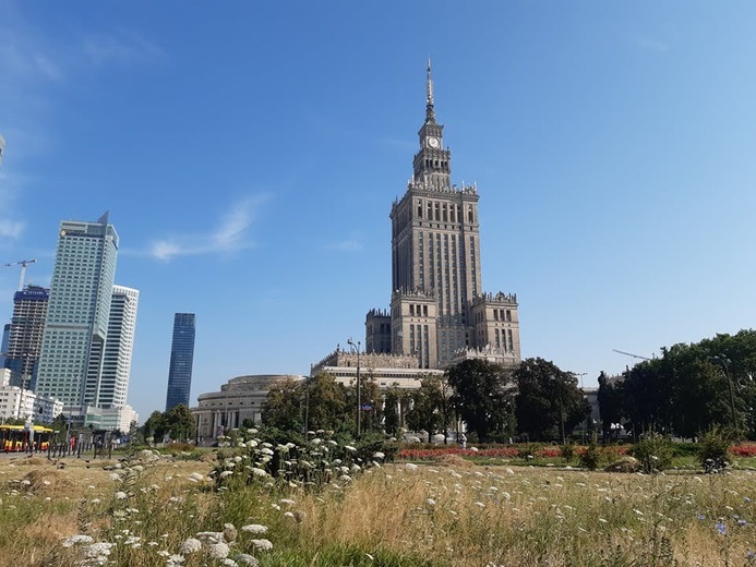 Brzesko. Konkursowe fotografie