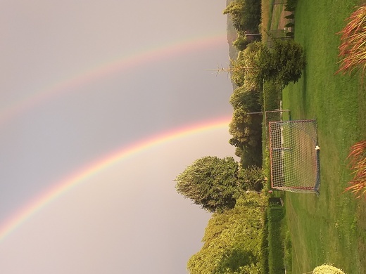 Brzesko. Konkursowe fotografie