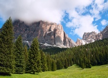 W tym roku na Placu św. Piotra stanie szopka z Peru i choinka z włoskich Dolomitów