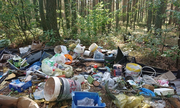 Leśnicy: stosy śmieci w lasach na południu Polski