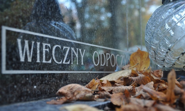 Żyją!