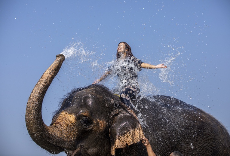 Kąpiel ze słoniem