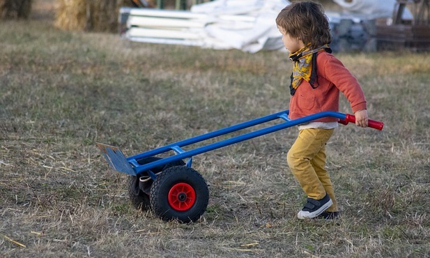 Papież w obronie dzieci zmuszanych do pracy w rolnictwie