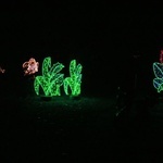 Park iluminacji