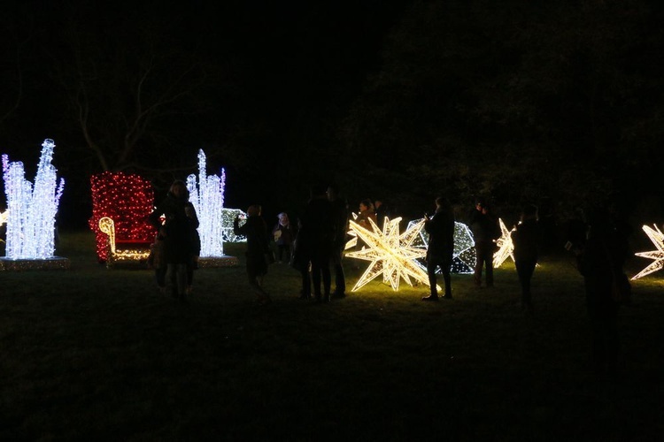 Park iluminacji