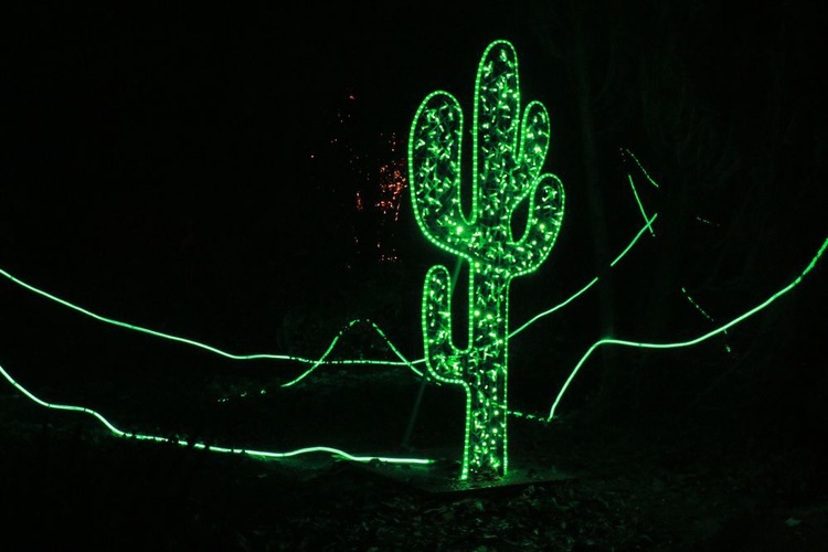 Park iluminacji