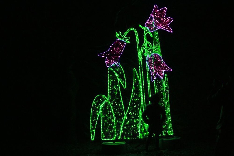 Park iluminacji