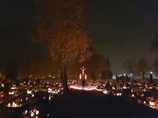 Śląskie nekropolie 