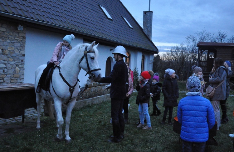 Św. Marcin w Biedrzychowicach