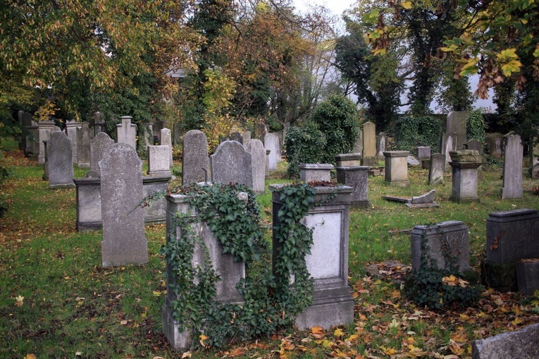 Cmentarz żydowski w Opolu