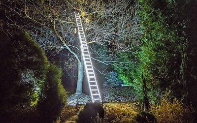 Spacer po Parku Iluminacji „Botaniczna Podróż” w Ogrodzie Botanicznym UMCS.
4.11.2021  Lublin