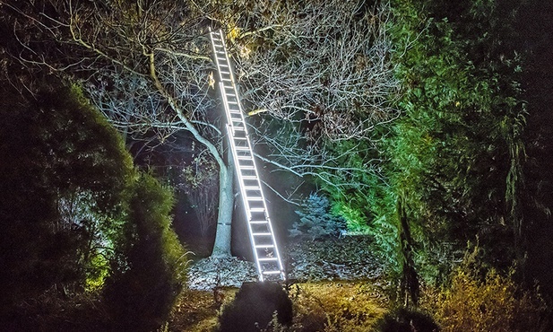 Spacer po Parku Iluminacji „Botaniczna Podróż” w Ogrodzie Botanicznym UMCS.
4.11.2021  Lublin