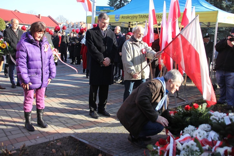 11 Listopada w Tarnobrzegu