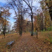 Rybnik. Miasto nie zamierza zbierać liści w parkach. Ma być ekologicznie i ekonomicznie