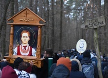 Wejście do rudziańskiego lasu.