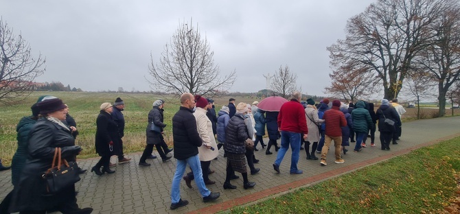 Niedziela Chrytusa Króla w Świebodzinie