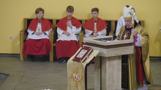 Zabrze. Nowe organy w kościele na Janku